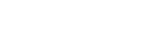 BizNet logo