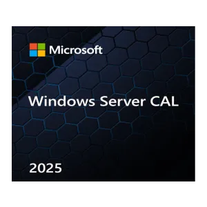 Microsoft Windows Server 2025 5 User CAL Licenca
