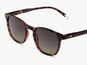 Suncane naocare BARNER Dalston/Glossy Tortoise