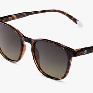 Suncane naocare BARNER Dalston/Glossy Tortoise