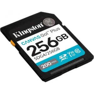 MEMORIJSKA KARTICA KINGSTON SDG4/256GB
